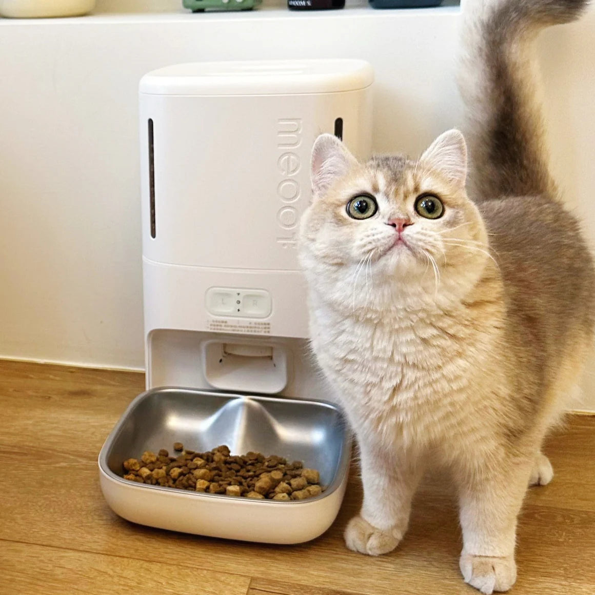 Mousse Smart Pet Feeder (with li-ion battery)